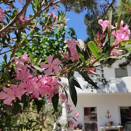 Eva'S Place Karystos  Exterior photo